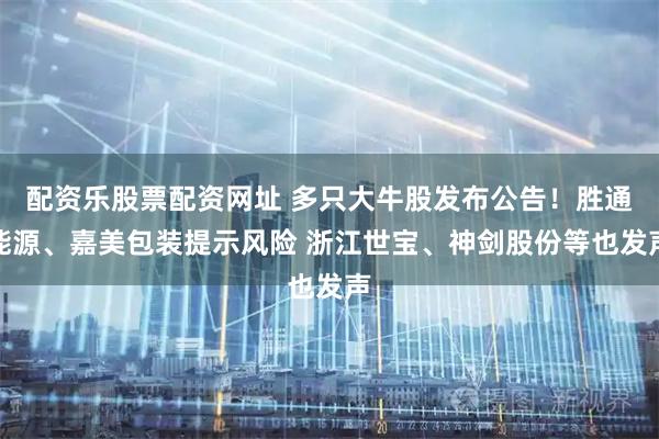 配资乐股票配资网址 多只大牛股发布公告！胜通能源、嘉美包装提示风险 浙江世宝、神剑股份等也发声